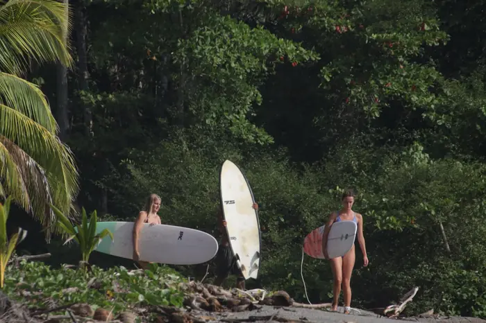 Tres surfistas saliendo de la selva hacia la playa con sus tablas